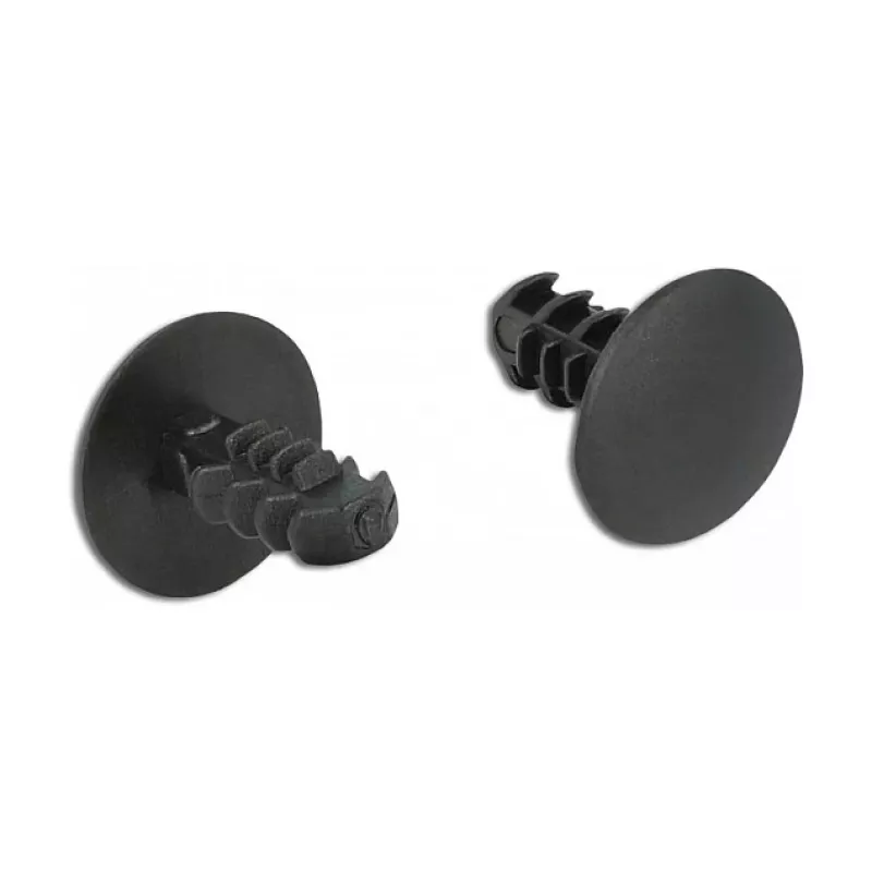 Fir tree clip DeLOCK 60188 black nylon 10 pieces