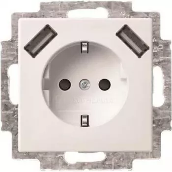Busch-Jaeger SCHUKO-2x USB Socket Outlet 20 EUCB2USB-914 (2CKA002011A6266)