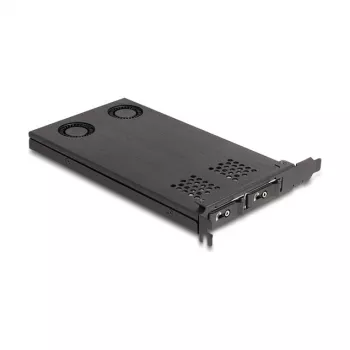 Delock PCI Express x16 Card Frame for 2 x M.2 NVMe SSD Bifurcation 47042