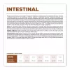VET EXPERT Veterinary Diet Intestinal Dog - dry dog food - 12 kg