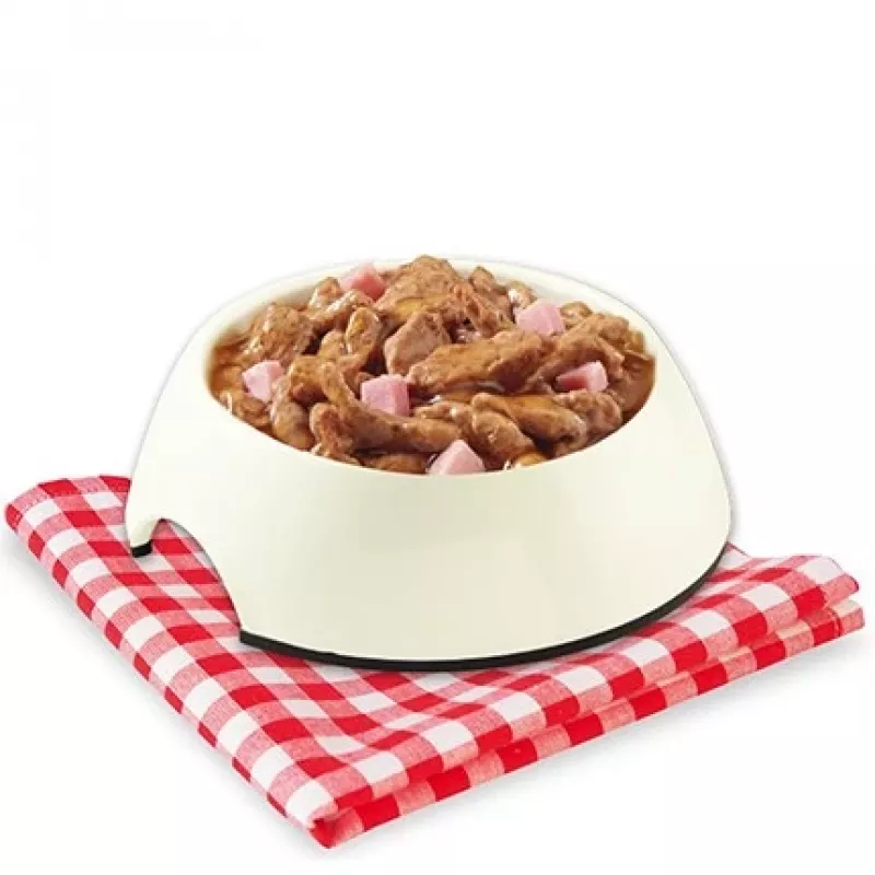 STUZZY Sfilaccetti Chicken with ham - wet dog food - 100g