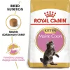 Dry cat food Royal Canin Maine Coon Kitten 2 kg — poultry, protein 36%, fat 23%