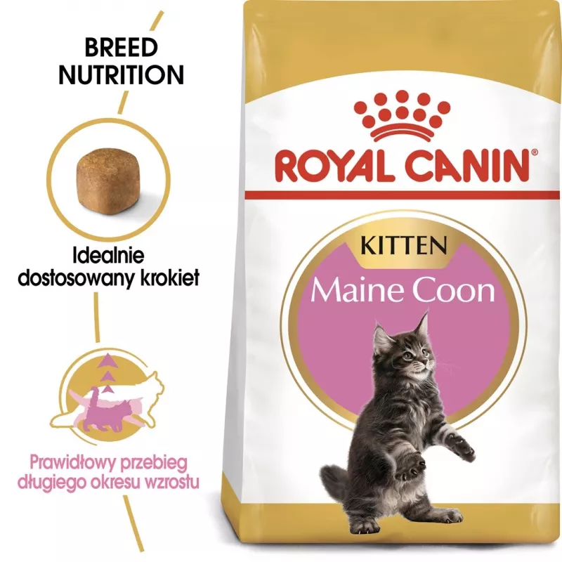 Dry cat food Royal Canin Maine Coon Kitten 2 kg — poultry, protein 36%, fat 23%