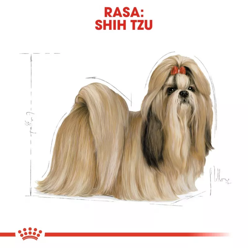 Dry dog food Royal Canin Shih Tzu Adult 7.5 kg — chicken, 24% protein, 20% fat