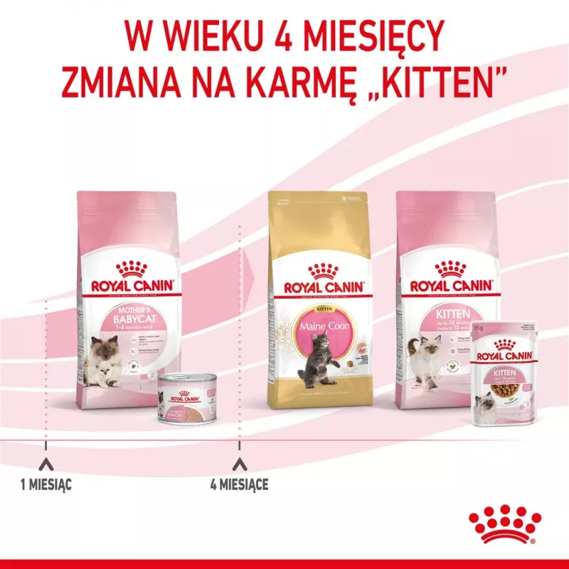 Royal Canin BABYCAT INSTINCTIVE - Wet cat food - 195 g