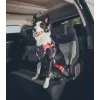 Dog Harness ZOLUX TRAVEL SAFE M, size M, red