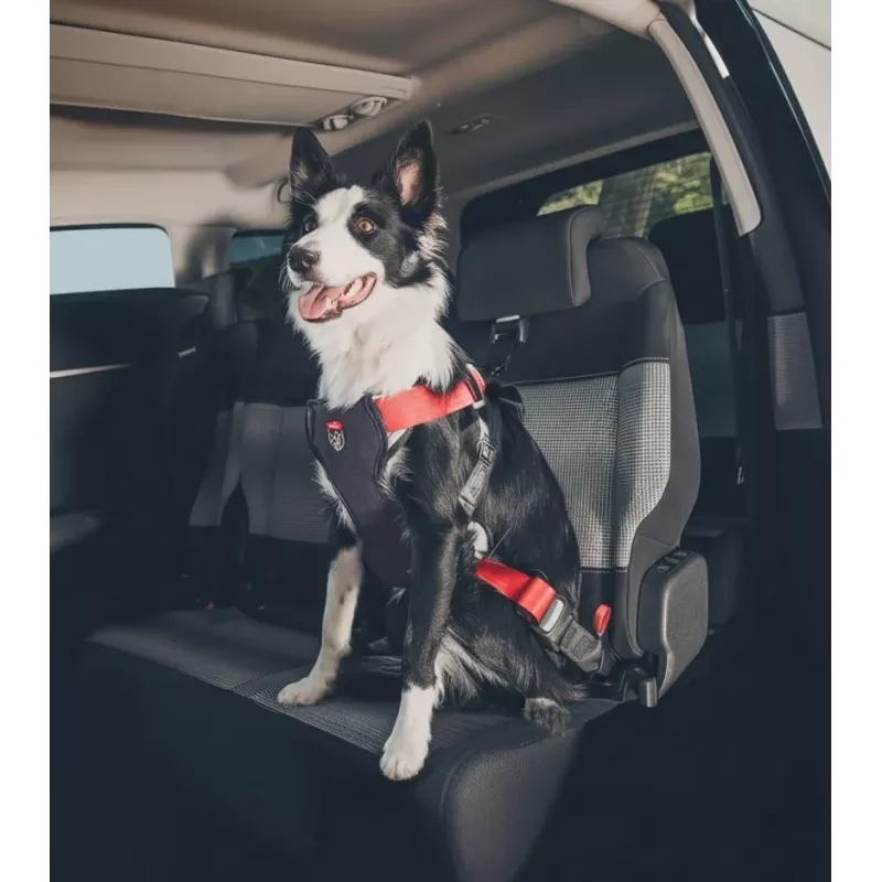 Dog Harness ZOLUX TRAVEL SAFE M, size M, red