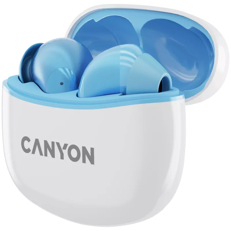 Canyon TWS-5 CNS-TWS5BL Headphones – True Wireless – Bluetooth 5.3 – In-Ear – USB-C Ladecase – Touch-Steuerung – to 38h Laufzeit – Black