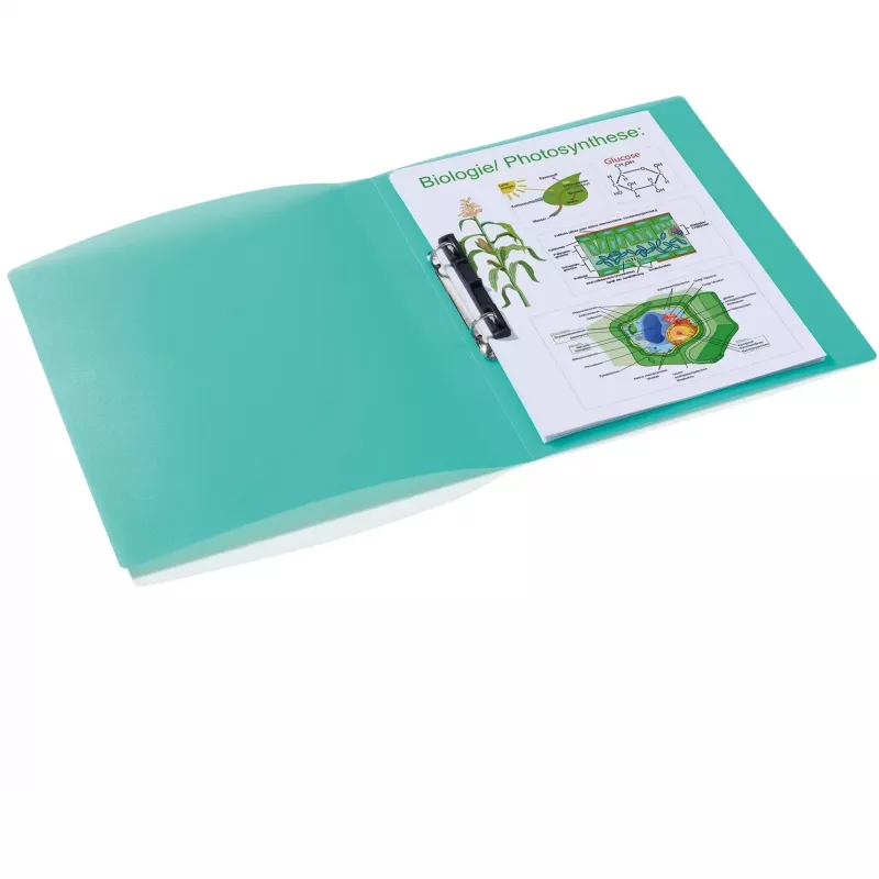 Ring binder HERMA 19182 A4 Turquoise