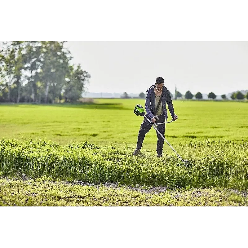 String trimmer Greenworks GD60BCB