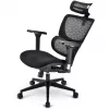 Office chair Sharkoon OfficePal C40 — black, ergonomic design, adjustable height