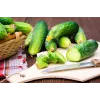 Polan F1 Toraf Cucumber Vegetable Seeds, 5g Pack