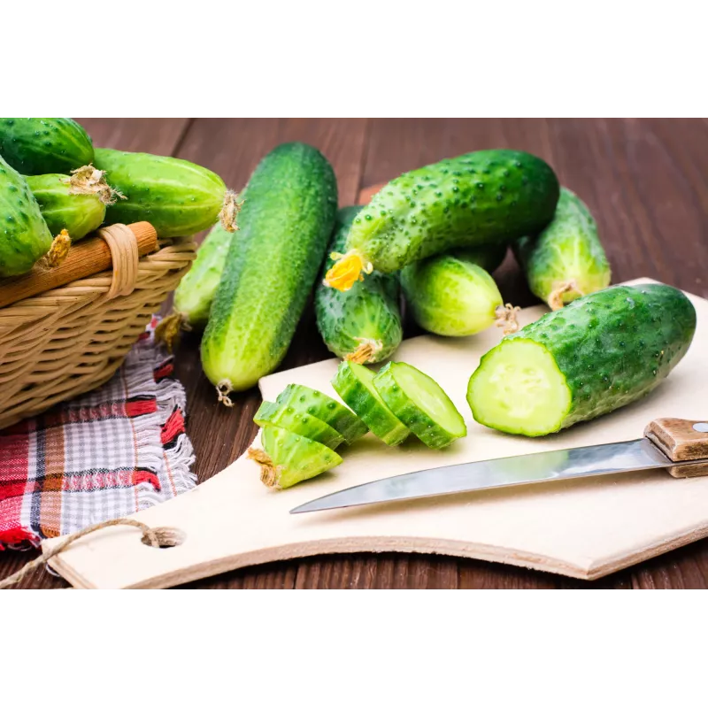 Polan F1 Toraf Cucumber Vegetable Seeds, 5g Pack
