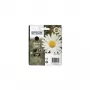Epson Daisy Singlepack Black 18XL Claria Home Ink, High (XL) Yield, Black, Pigment-based ink, 1 pc(s)