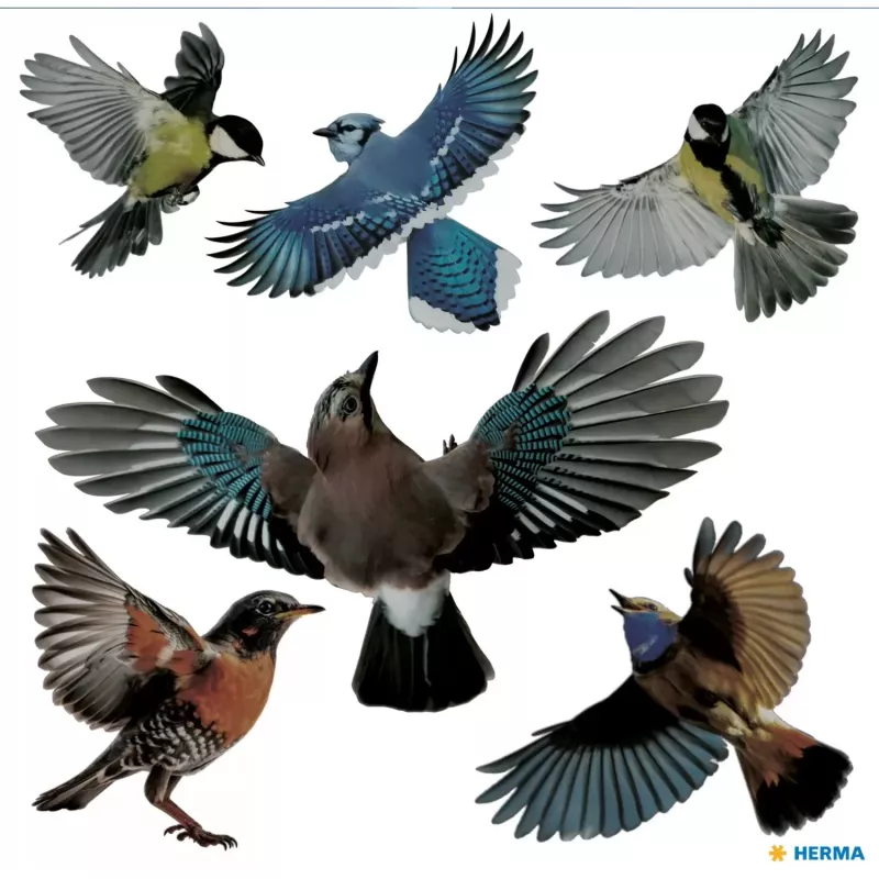 Decorative Sticker HERMA 15539 Film Multicolour Removable Bird