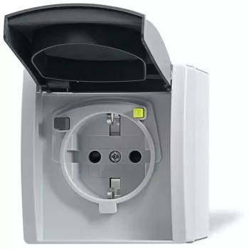 Busch-jaeger 2CKA003116A0664 Grey