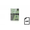 Colour paper Double A, 80g, A4, 500 sheets, Emerald