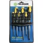 Manual screwdriver set Fieldmann FDS 1102-6R