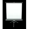 Tripod projection screen Elite Screens T113NWS1 2.87 m 1:1