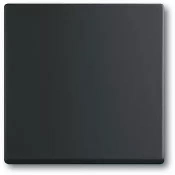 Light switch Busch-Jaeger 1751-0-3041, plastic housing, black, buttons, 63×63 mm