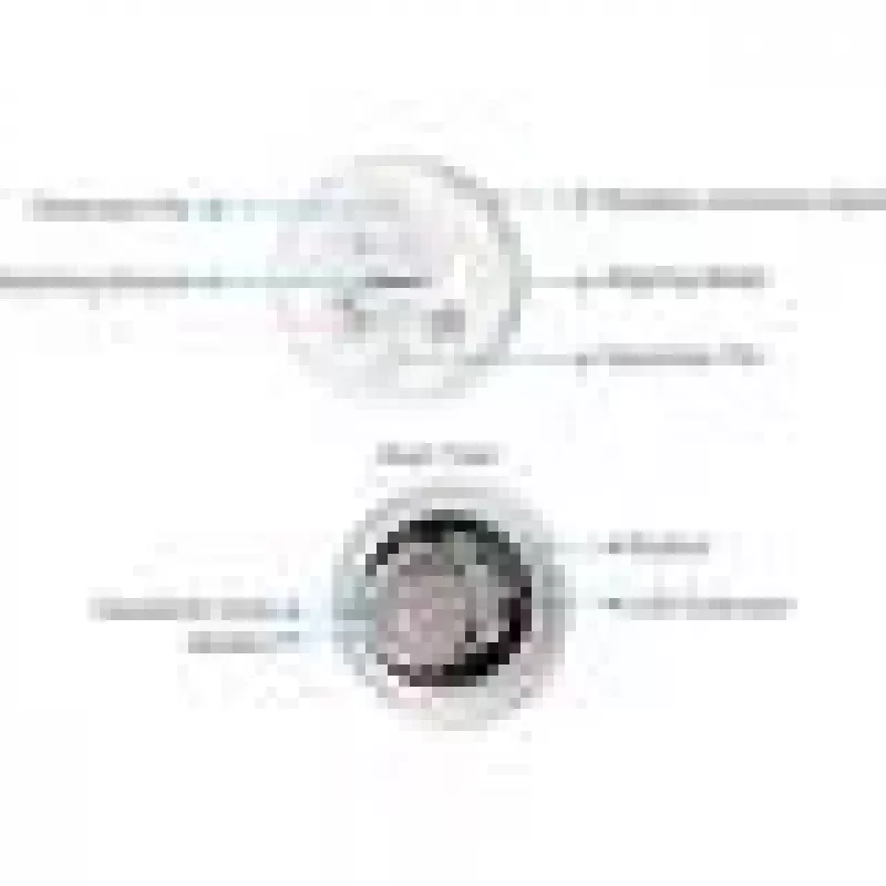 Water detector EZVIZ T10C Sensmitter Wireless IP67 White, CR123A battery, 2400 MHz, 200 m range