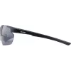 Sunglasses ALPINA DEFEY HR colour BLACK matte Glass black Cat. 3
