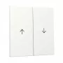 gira switch rocker 2-gang arrow System 55 pure white (model 329427)