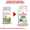 Dry cat food Royal Canin Active Life Outdoor 4 kg — Adult, Poultry, 30% Protein, 20% Fat