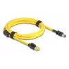 Delock Cable RJ45 Plug Cat.6 to Mini I/O 8 Pin D-Form Type 2 2 m (81251)