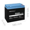 Rechargeable LiFePO4 Battery QOLTEC 12.8V 30Ah 384Wh with BMS