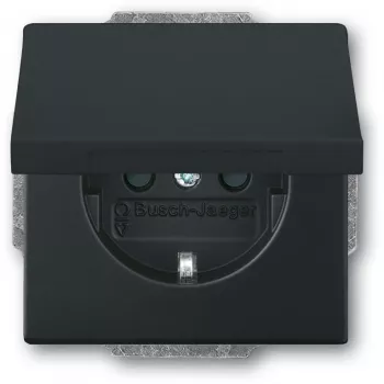 Busch-jaeger 2CKA002018A1495 Black