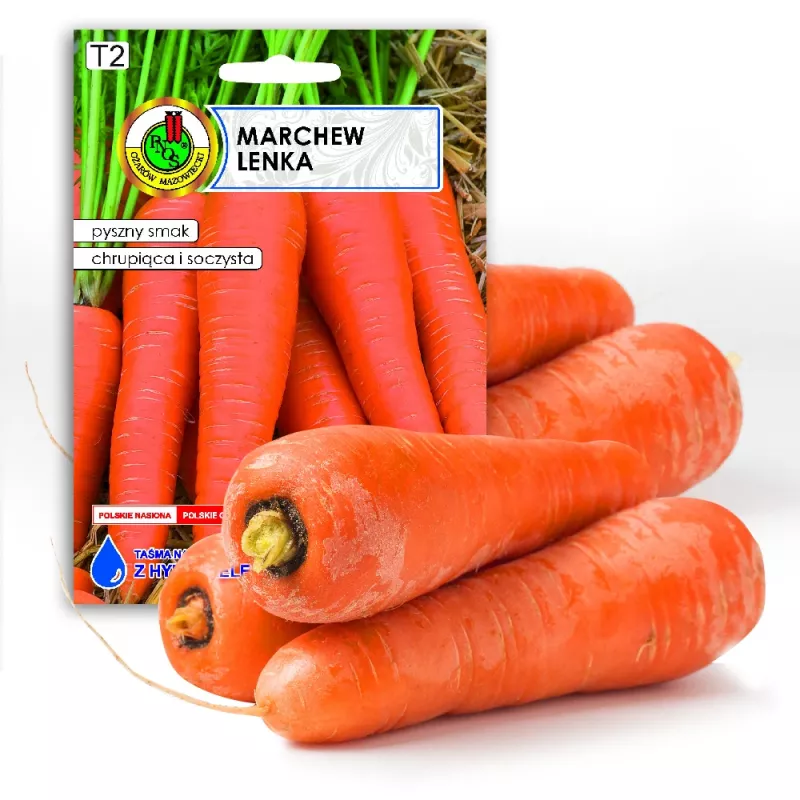 Seed tape Apte Marchew LENKA 6 m — carrot seed strip for sowing