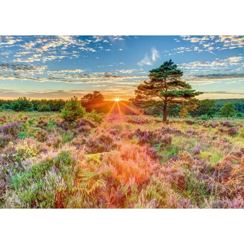 Jigsaw puzzle, schmidt spiele Heath at Sunset, 1000 pieces, scenic artwork