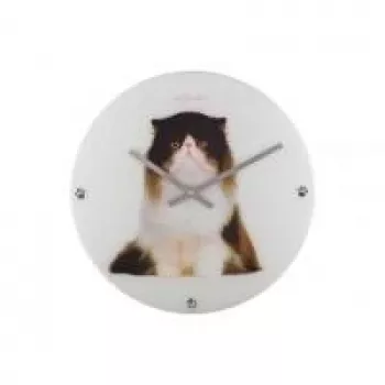 NeXtime klok 8138 Sylvester, Ø43 cm, Wall, White/ Black
