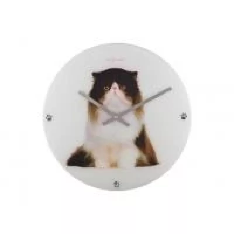 NeXtime klok 8138 Sylvester, Ø43 cm, Wall, White/ Black