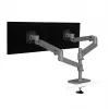 Ergotron LX Pro - Mounting Kit (Doppelarm) - for 2 LCD-Displays - perforated-plate mounting - Aluminium - Dark Grey - Screen Size: to 61 cm (to 24 inch)