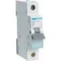 Hager MBN106. AC Input Frequency: 50/60 Hz, Nominal Current Output: 6 A (MBN106)