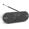 Technisat DigitRadio BT 2 Light Grey (0001/3973)