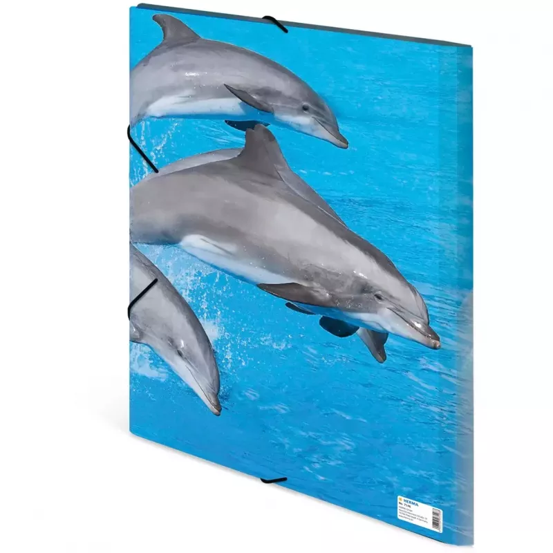 Folder Polypropylene (PP) HERMA 7146 A3 Blue Grey