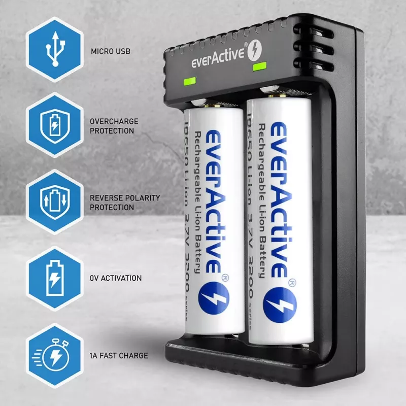 Battery charger everActive LC200 household USB, 2-bay, Li-Ion, supports A/AA/AAA/AAAA/C/D, 5 V input, 4.2 V output, black