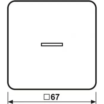 Jung HOME push button Single-gang BTCD17101WW 1 (BTCD17101WW)