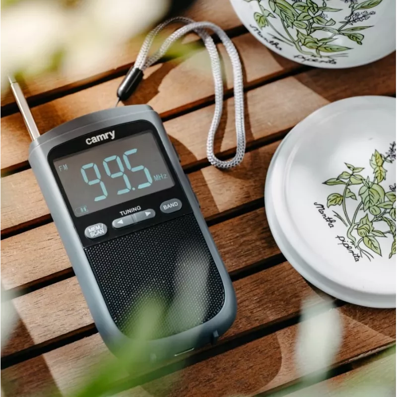 Camry | Portable mini radio | CR 1905 | Alarm function | Black