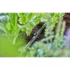 Hose Holder Gardena 13208-20 Black Ground Placement