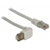 Networking Cable DeLOCK 0.5m Cat.6A RJ-45 S/FTP Grey