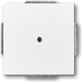 BUSCH JAEGER 1710-0-3161 - Weiß - konventionell - Busch-Jaeger - 63 mm - 63 mm - 1 Stück(e)