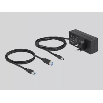 DeLOCK External 5 Gbps USB Hub with 10 Ports + Switch