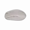 Canyon Mouse MW-12 Dual band Wireless Beige - Mouse - 2.400 dpi (CNS-CMSW12BG)
