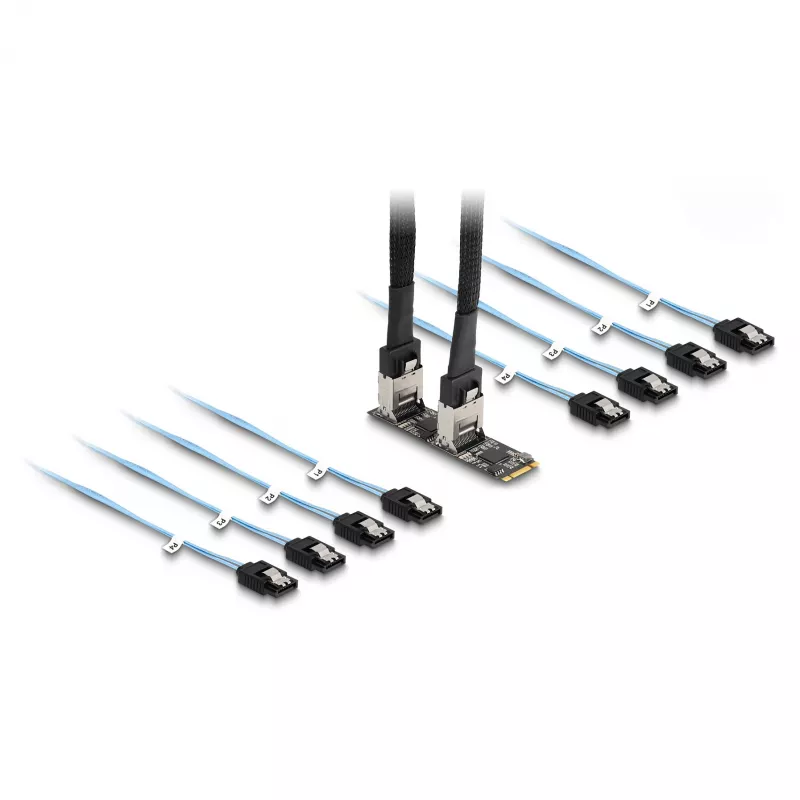 DeLOCK Converter M.2 2280 Key B+M male to 8 x SATA