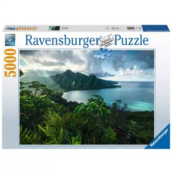 Contour puzzle Ravensburger 16106 5000 pcs Flora