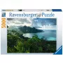 Contour puzzle Ravensburger 16106 5000 pcs Flora